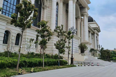 郑州路灯厂