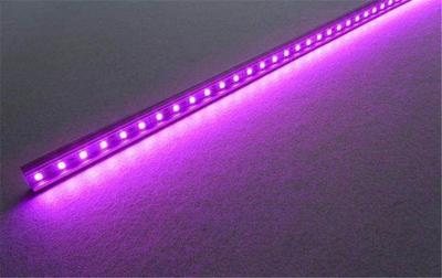 沁水县光之华线条灯批发市场