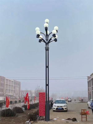 信阳罗山县景观亮化道路照明灯 &nbsp;&nbsp;农村马路节能照明改造维修