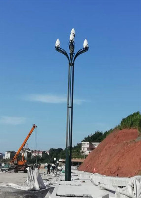 洛阳市高架道路灯杆加工厂
